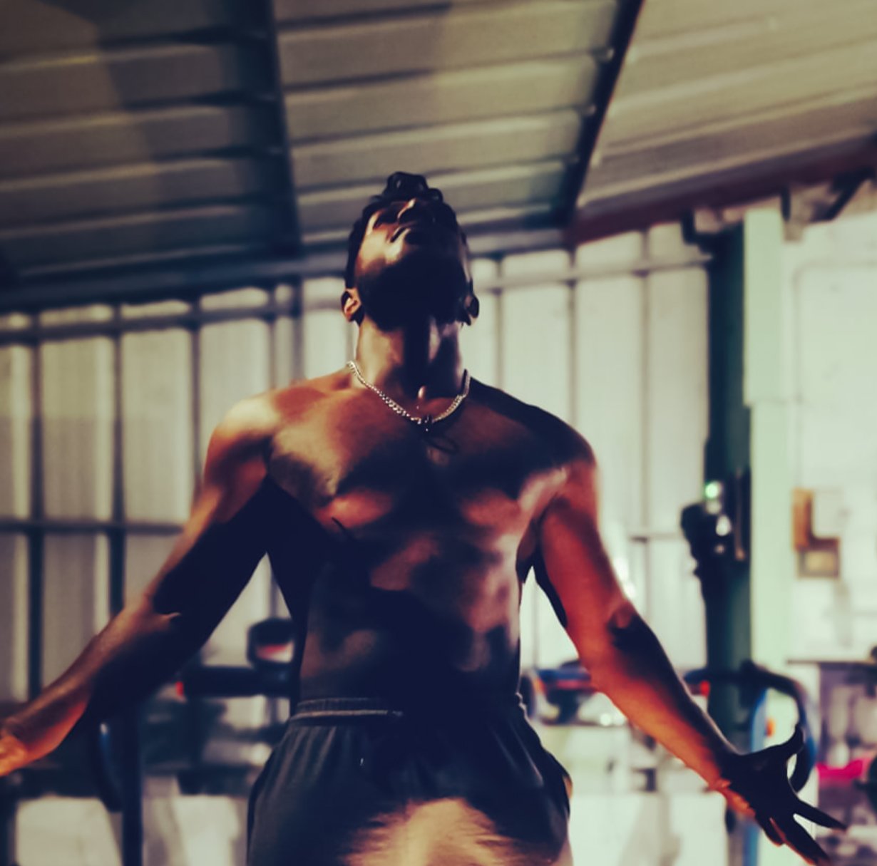 Mauris nec nunc neque